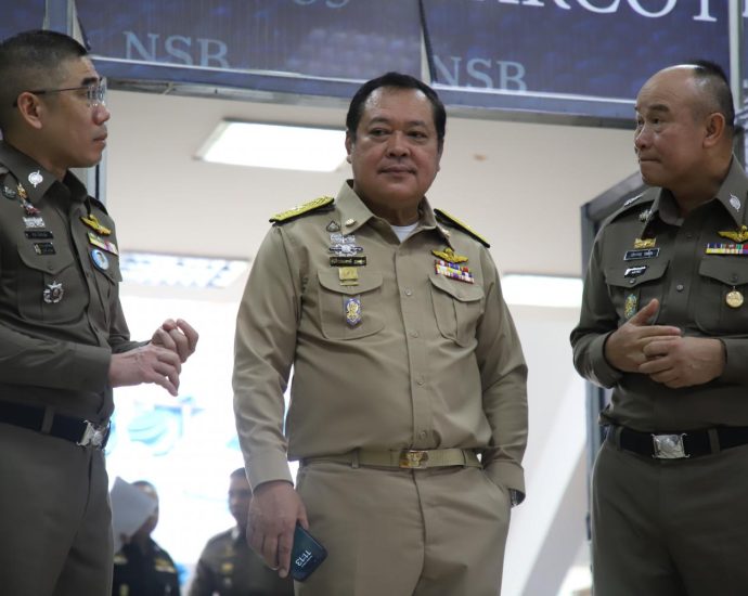 DSI investigation sparks Senate election row