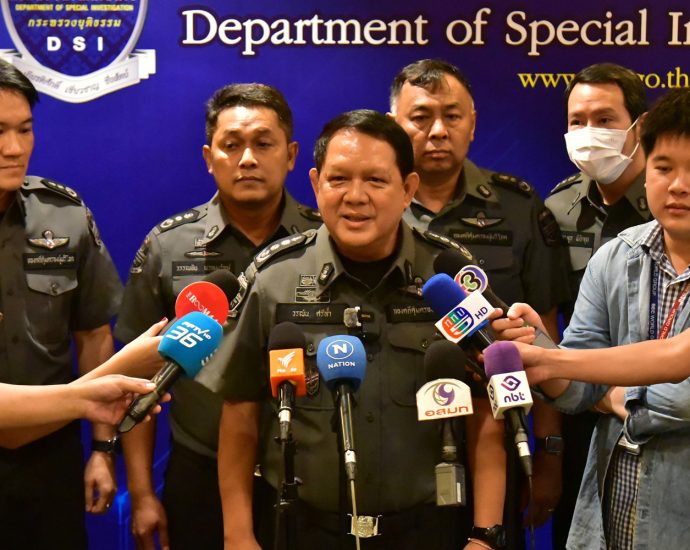 DSI: Minister’s absence won’t derail Senate probe
