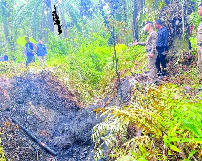 Feuds blamed for plantation killings