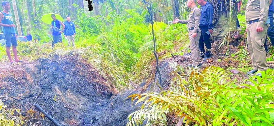 Feuds blamed for plantation killings