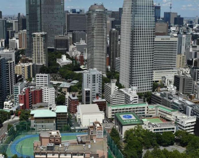 Five staff reported injured by intruders at Tokyo primary school: Reports