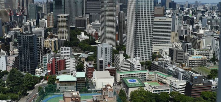 Five staff reported injured by intruders at Tokyo primary school: Reports