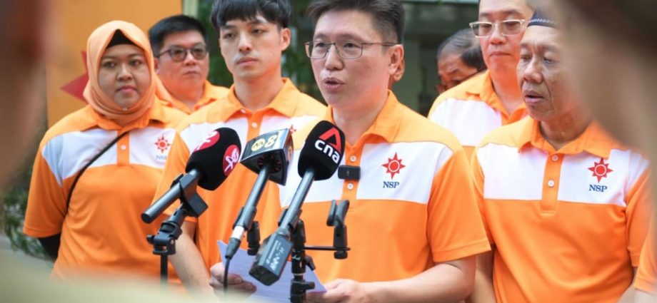 GE2025: ‘Opposition unity is an illusion,’ says NSP after suffering heavy losses in multi-cornered fights