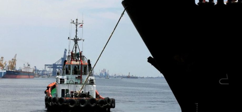 Indonesia eyes cut in fuel imports from Singapore in favour of US as part of tariffs negotiations