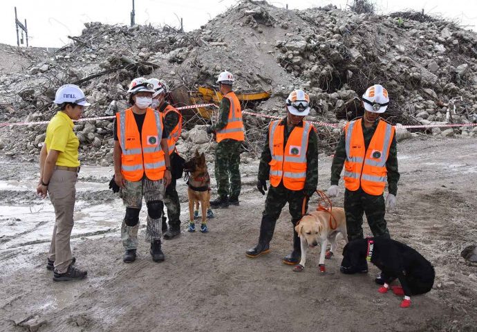 K-9 unit to conduct final sweep of site