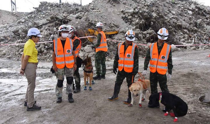 K-9 unit to conduct final sweep of site