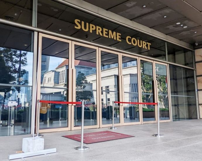 Maid who stabbed 70-year-old woman 26 times gets murder conviction reduced on appeal
