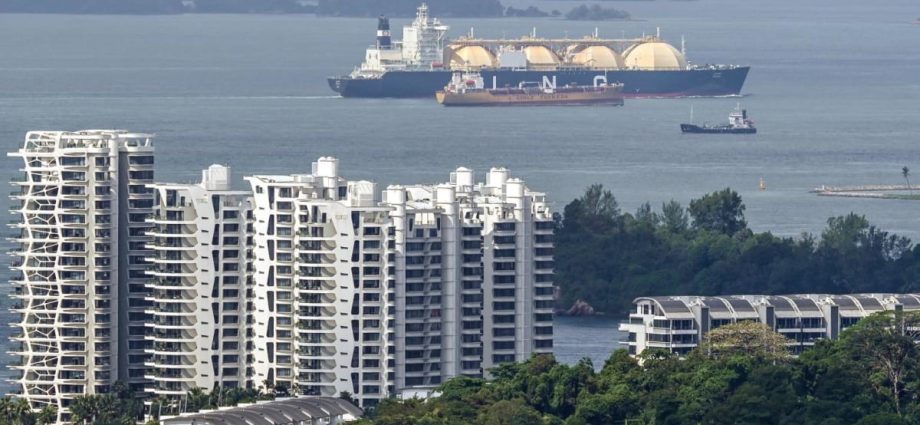 New government entity formed to centralise Singapore’s natural gas procurement and supply