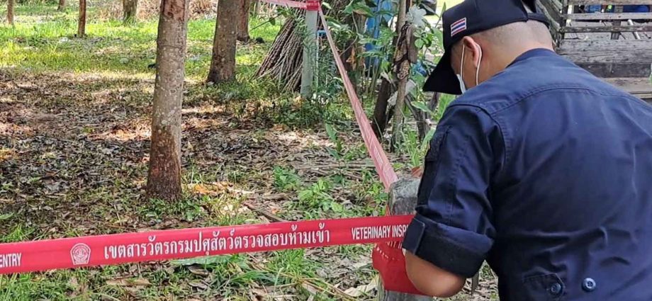 No new anthrax infection cases reported, says govt
