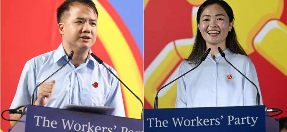Non-Constituency MP positions filled by Workers’ Party’s Andre Low and Eileen Chong