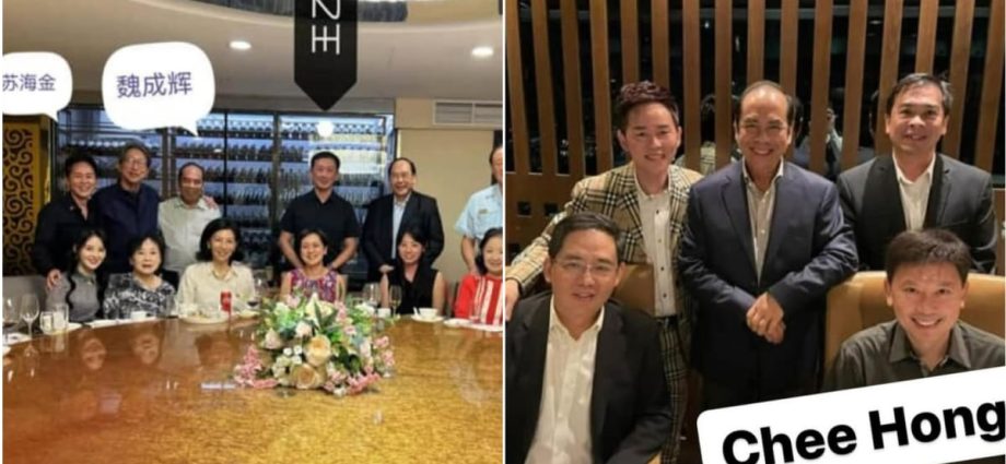 Ong Ye Kung, Chee Hong Tat have no dealings with Fujian gang member Su Haijin, say press secretaries