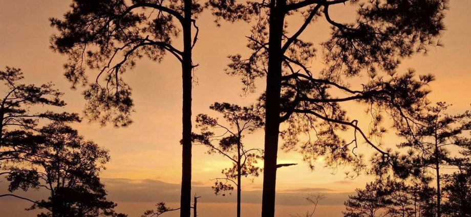 Phu Kradueng cable car edges closer
