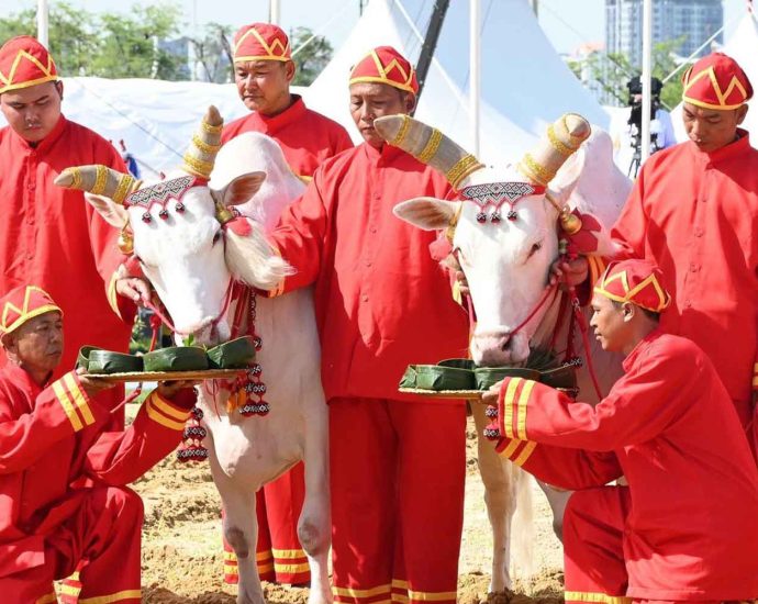 Sacred oxen predict bumper trade year