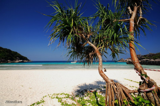 Similan Islands closed to tourists Monday, Tuesday due to severe weather