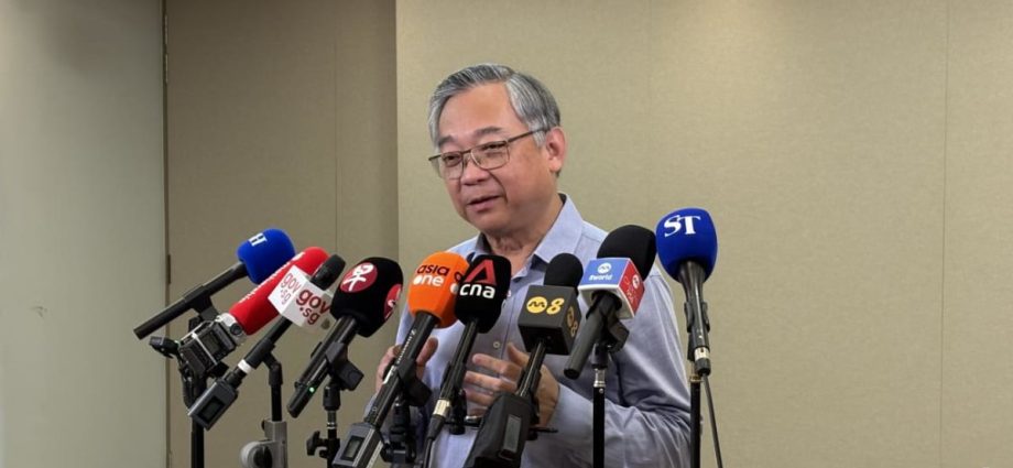 Singapore and US to discuss preferential or ‘zero’ tariffs on pharmaceutical exports, says DPM Gan