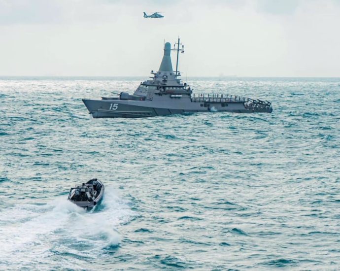 Singapore navy exploring how to adapt cheaper, off-the-shelf drones to counter emerging threats