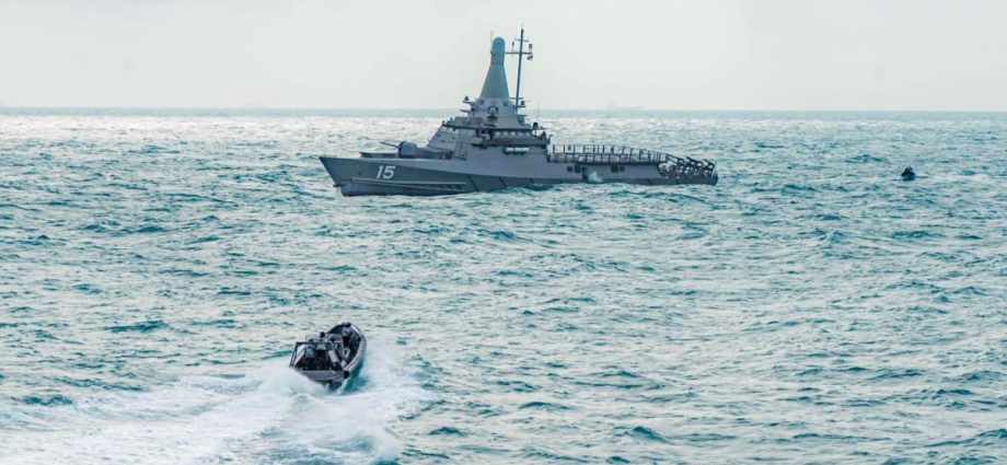 Singapore navy exploring how to adapt cheaper, off-the-shelf drones to counter emerging threats