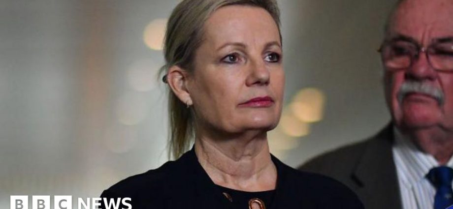 Sussan Ley: Liberal Party names first female leader after historic Australia election loss
