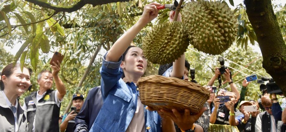 Thai fruit farmers urge govt to recruit K-pop sensation Lisa