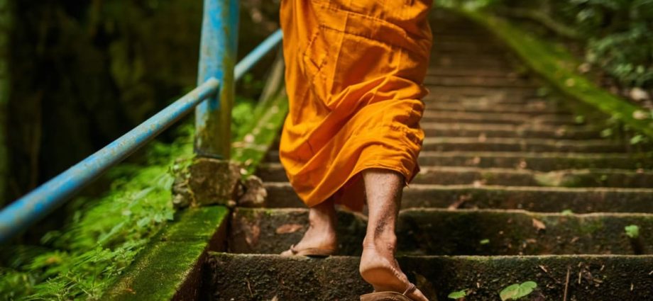 Thai monk arrested over US million temple embezzlement