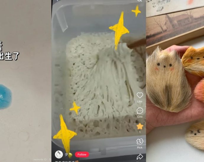 Toothpaste blobs, mango ‘dogs’: China’s Gen Zers cope with stress by turning to quirky ‘pets’